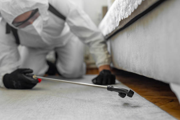 Professional Bed Bug Control technician working in Golden's Bridge, NY