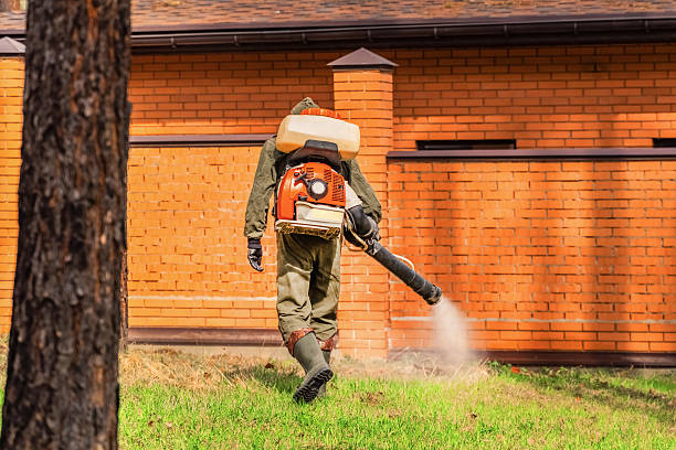 Trusted Rodent Control service in Golden's Bridge, NY - Nex Pest Control